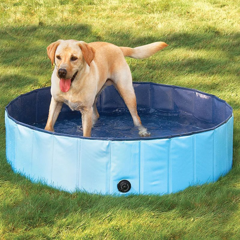 Portable Paw Pool Product Mafia